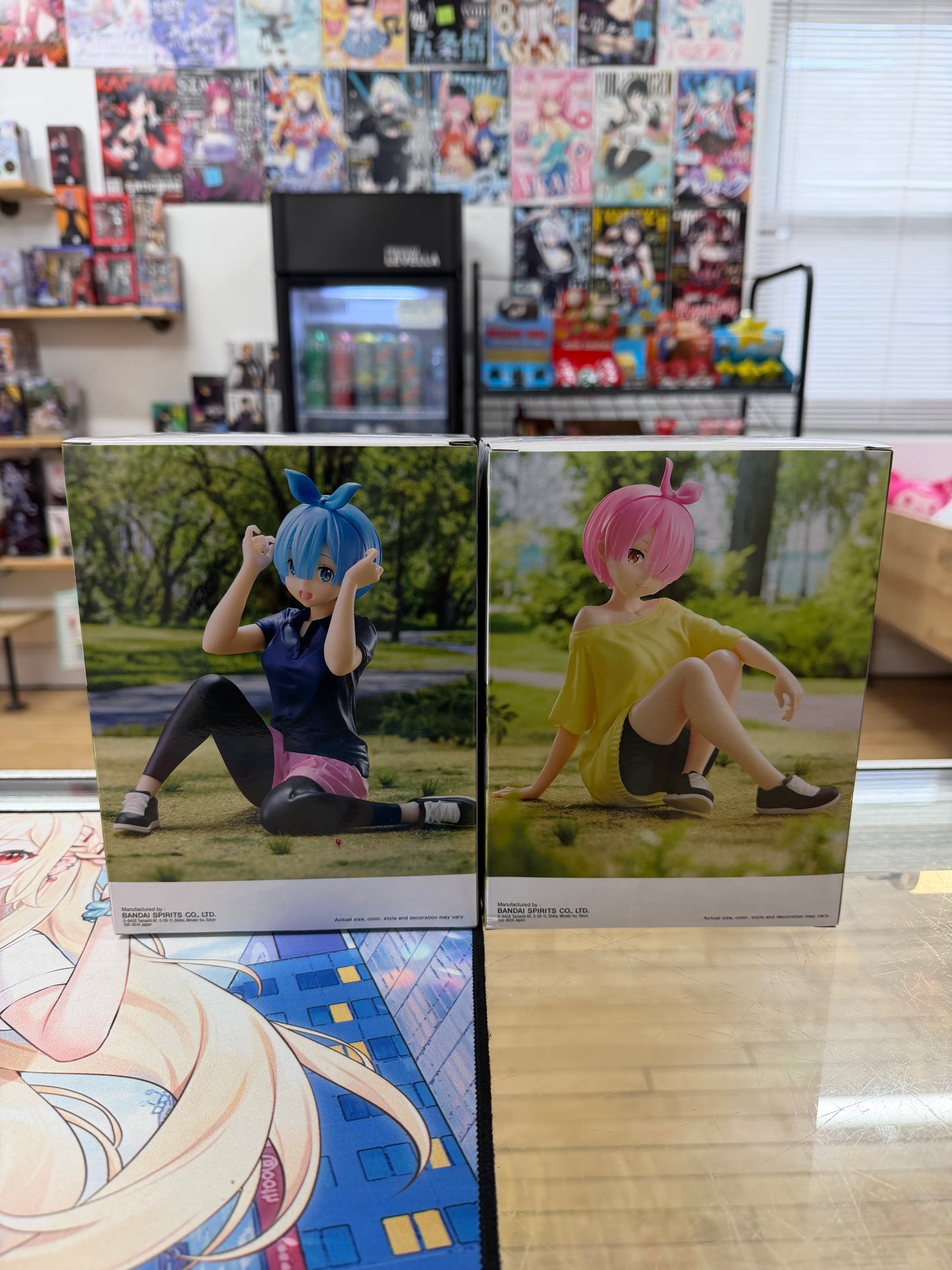 Re:Zero Starting Life in Another World Relax Time Rem and Ram (Training Ver.)